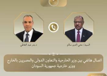 Egypt, Sudan FMs reaffirm commitment to boosting bilateral ties