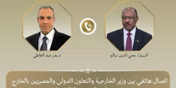 Egypt, Sudan FMs reaffirm commitment to boosting bilateral ties