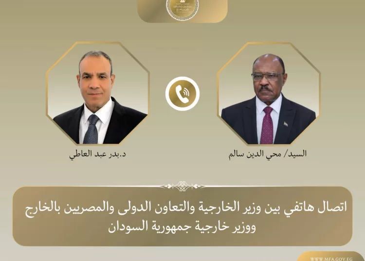 Egypt, Sudan FMs reaffirm commitment to boosting bilateral ties 12 - Egyptian Gazette Egypt, Sudan FMs reaffirm commitment to boosting bilateral ties 11 - Egyptian Gazette