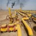 Oil