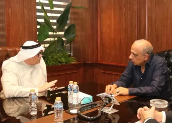 Egypt, UAE discuss accelerating renewable energy projects