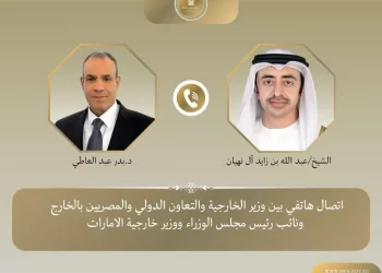 Egypt, UAE FMs discuss ties, regional developments
