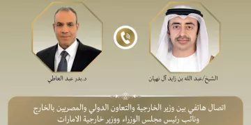 Egypt, UAE FMs discuss ties, regional developments