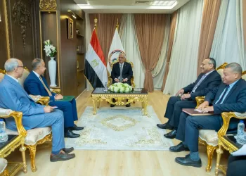 Egypt pushes partnership with Uganda through military production