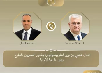 Egypt, Ukraine FMs hold talks on strengthening ties, crisis settlement
