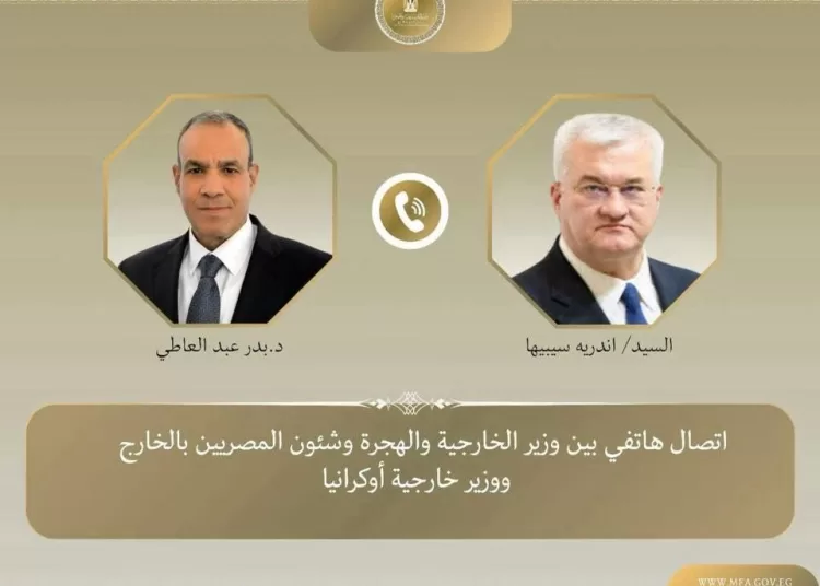 Egypt, Ukraine FMs hold talks on strengthening ties, crisis settlement 11 - Egyptian Gazette