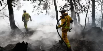 Rainfall aids fight against Belgium's biggest wildfire 1 - Egyptian Gazette Wildfire