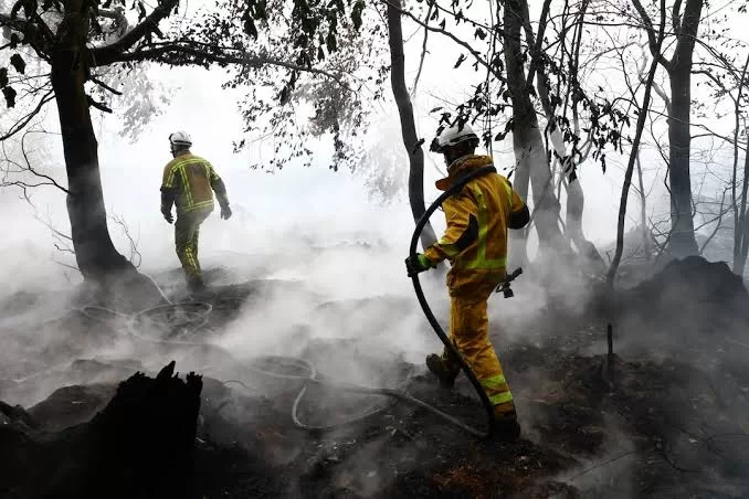Rainfall aids fight against Belgium's biggest wildfire 11 - Egyptian Gazette Wildfire