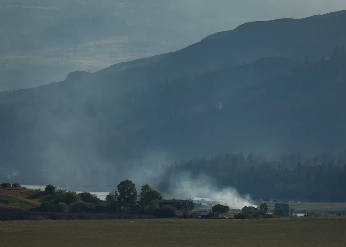Wildfire