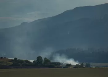 Wildfire