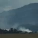 Wildfire
