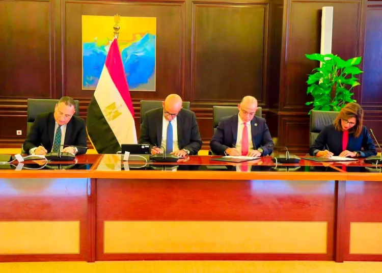 Egypt launches programme to develop young talent, future leaders 13 - Egyptian Gazette Egypt launches programme to develop young talent, future leaders 12 - Egyptian Gazette