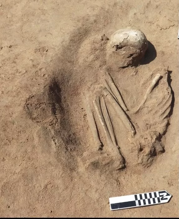 Egypt uncovers burial ground spanning thousands of years in Nile Delta 15 - Egyptian Gazette