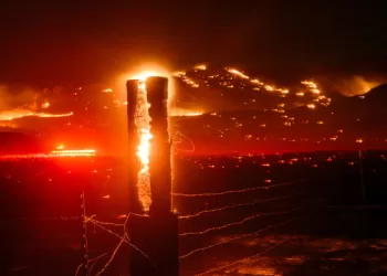 German wildfire near Belgian border under control