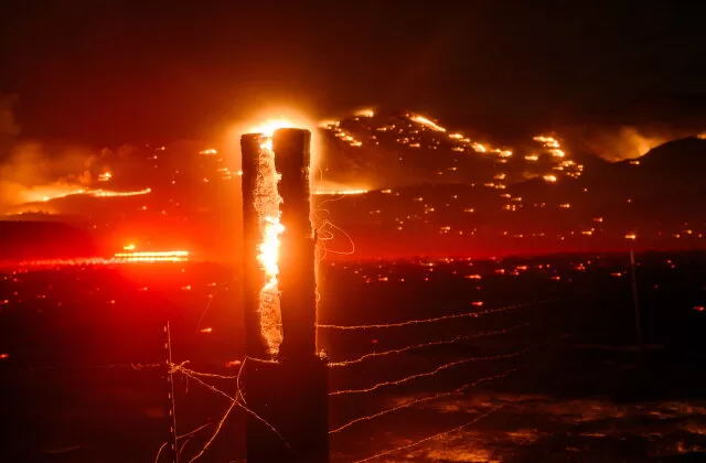 German wildfire near Belgian border under control 12 - Egyptian Gazette German wildfire near Belgian border under control 11 - Egyptian Gazette