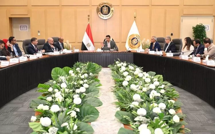 Egypt targets higher local content in auto industry 12 - Egyptian Gazette auto industry
