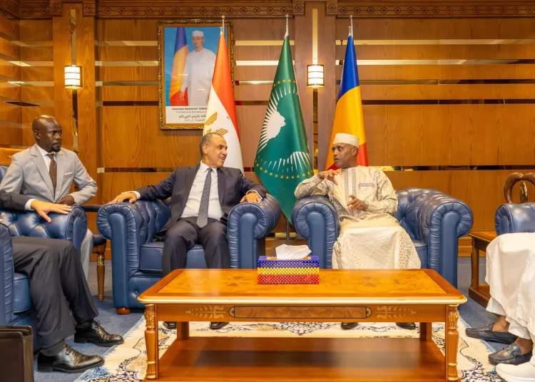 Egypt, Chad deepen ties as Cairo expands African partnerships 11 - Egyptian Gazette