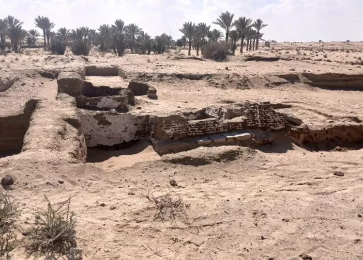Egypt uncovers ancient inn on Sinai pilgrimage route 11 - Egyptian Gazette