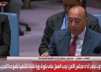 Egypt urges immediate action to end Sudan war