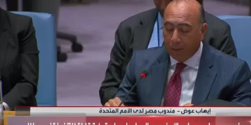 Egypt urges immediate action to end Sudan war