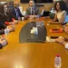 Egypt explores partnerships with Turkish medical giants 10 - Egyptian Gazette healthcare authority