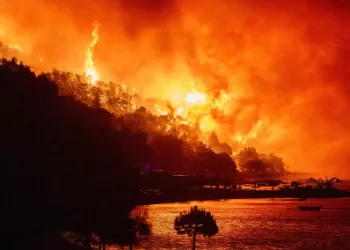 Wildfires continue to devastate Europe as thousands are forced to flee their homes