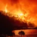 Wildfires continue to devastate Europe as thousands are forced to flee their homes