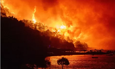 Wildfires continue to devastate Europe as thousands are forced to flee their homes 12 - Egyptian Gazette Wildfires continue to devastate Europe as thousands are forced to flee their homes 11 - Egyptian Gazette