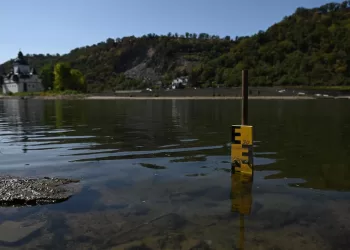Low Rhine water levels halt some ship sailings