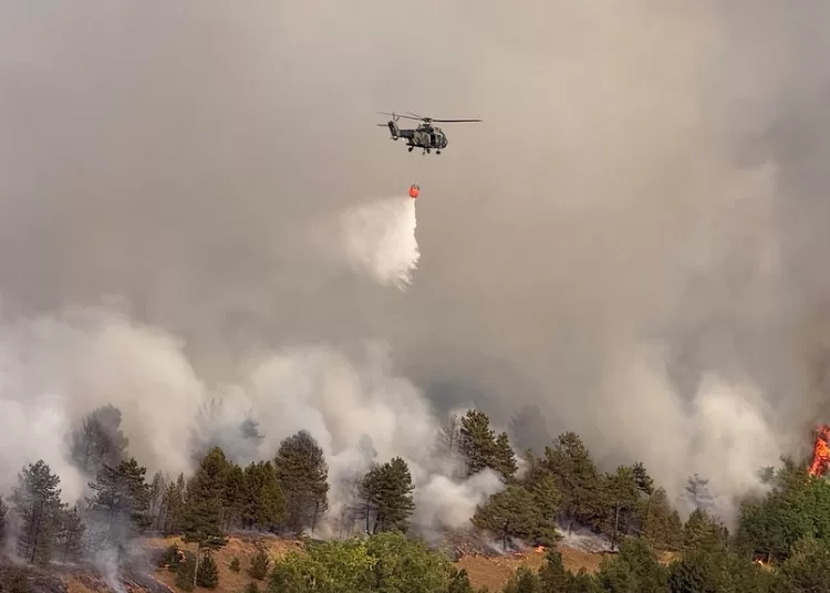 Serbia turns to Russia to help fight wildfires 11 - Egyptian Gazette