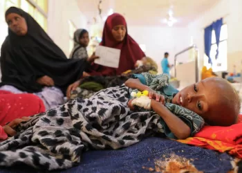 MSF: Half of displaced Somali children acutely malnourished