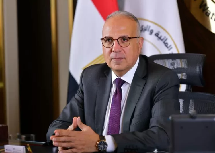 Egypt reviews technical assessment of Sudan's Jebel Aulia Dam development 11 - Egyptian Gazette