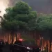 New wildfires force thousands to flee Europe