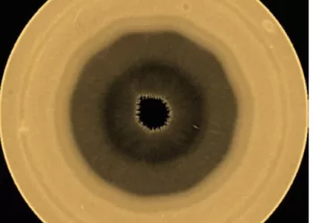 10-sided wave swirls over Saturn’s South Pole