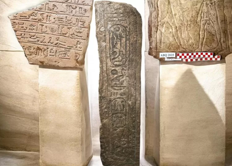 Egypt excavation reveals life at New Kingdom fortress 12 - Egyptian Gazette
