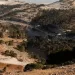 WFP halves West Bank aid due to funding cuts
