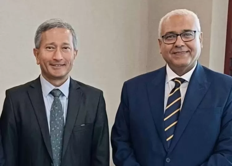 Egypt, Singapore discuss ties, ME developments 10 - Egyptian Gazette