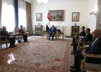 Sisi urges diversified AIIB financing to support Egypt’s development priorities