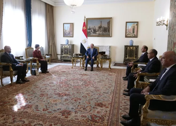 Sisi urges diversified AIIB financing to support Egypt’s development priorities 12 - Egyptian Gazette