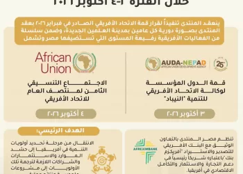 Egypt to host high-level African events in New Alamein next month