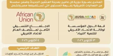 Egypt to host high-level African events in New Alamein next month