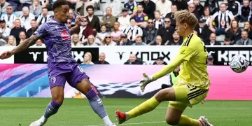 EPL: Newcastle salvages draw with Bournemouth