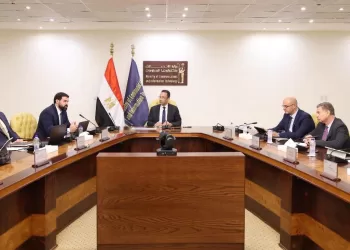 Cairo probes mega data centre project with US developers
