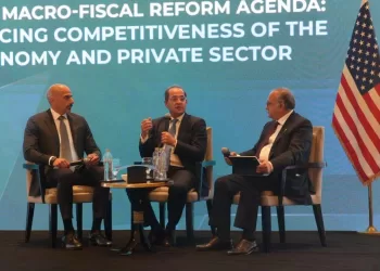 Finance Minister highlights private sector’s role in Egypt’s growth
