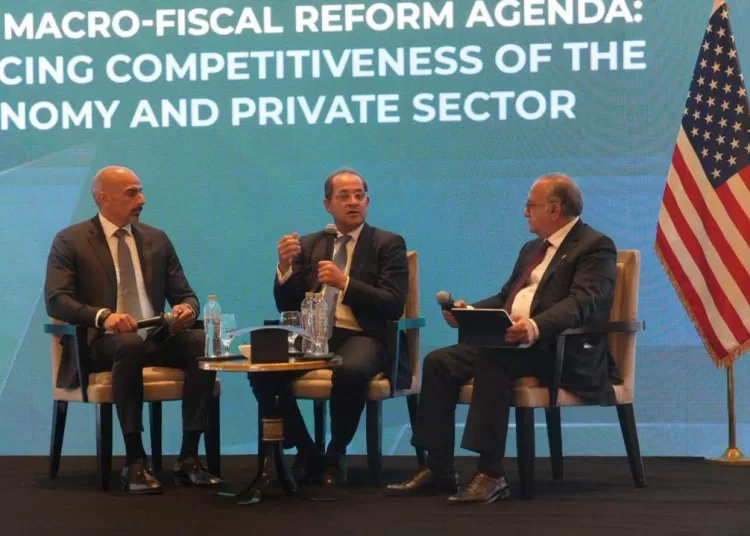 Finance Minister highlights private sector’s role in Egypt’s growth 11 - Egyptian Gazette