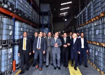Investment min. inspects development projects in Damietta