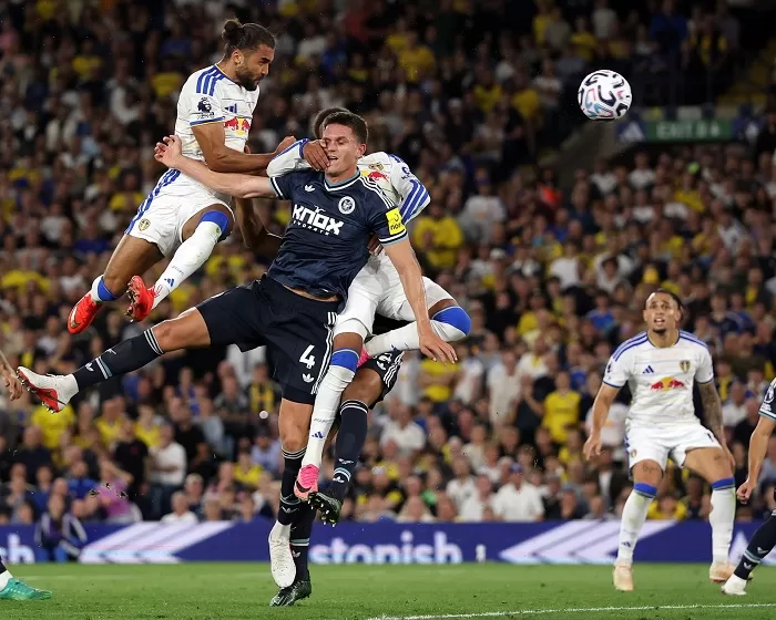 EPL: Leeds hammer Newcastle 4-1 14 - Egyptian Gazette