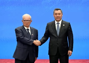 Egypt calls for UN reform, stronger multilateral co-operation at SCO Plus Summit