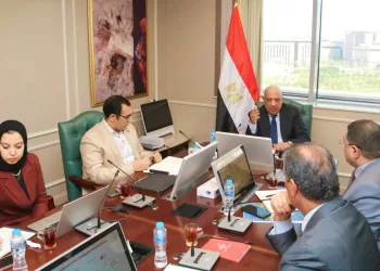 Egypt moves to gradually liberalise electricity market