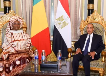 Egypt, Mali discuss expanding co-operation in health, education